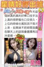 嘉義定點茶-星晴/160/48/24/E