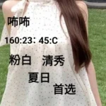 桃園外送茶-咘咘/160/45/23/C