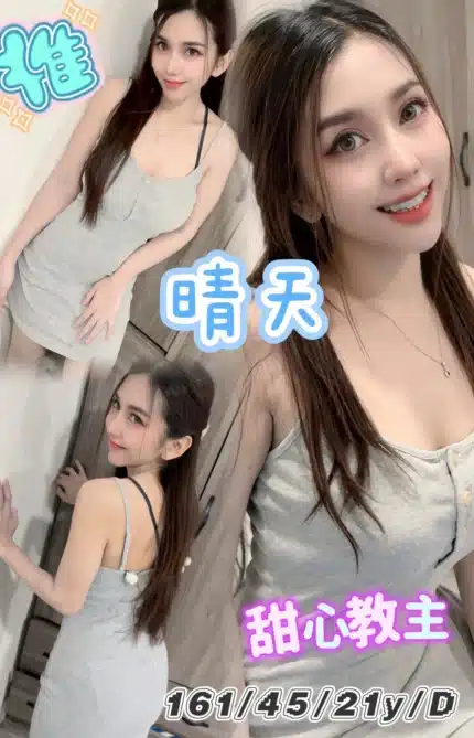 台北定點茶-晴天/161/45/21/D