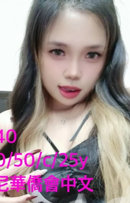 嘉義定點茶-N40/160/50/25/C