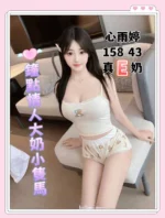 台中定點茶-心雨婷/158/43/?/E