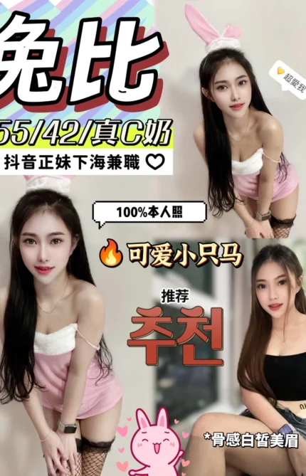 南投定點茶-兔比/155/42/?/C