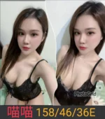 南投定點茶-喵喵/158/46/25/E