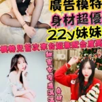 新竹定點茶-葉琳/157/43/22/E