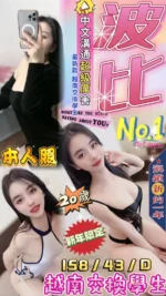 台中定點茶-波比/158/43/20/D