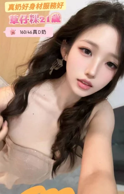 台南定點茶-草仔粿/160/46/21/D