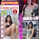 桃園定點茶-周子瑜/162/48/22/D