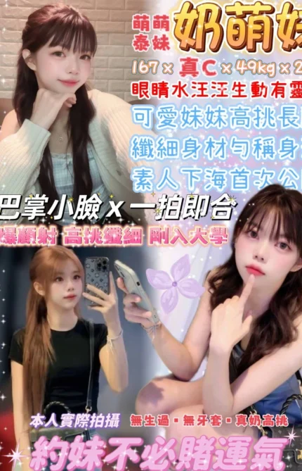 台北定點茶-奶萌妹/167/49/22/C