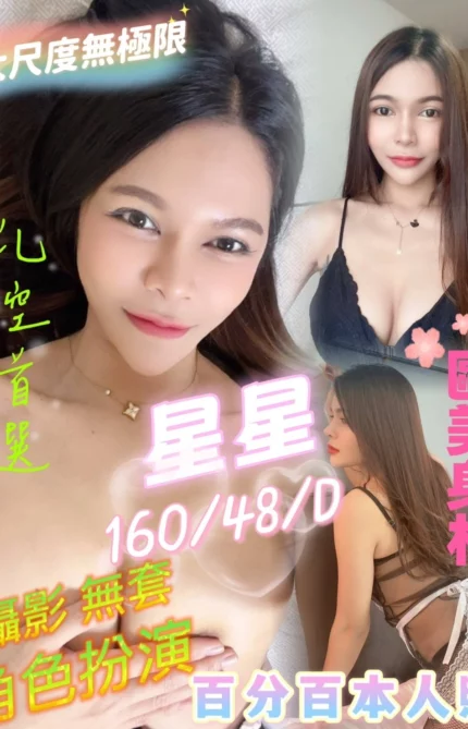 屏東定點茶-星星/160/48/?/D