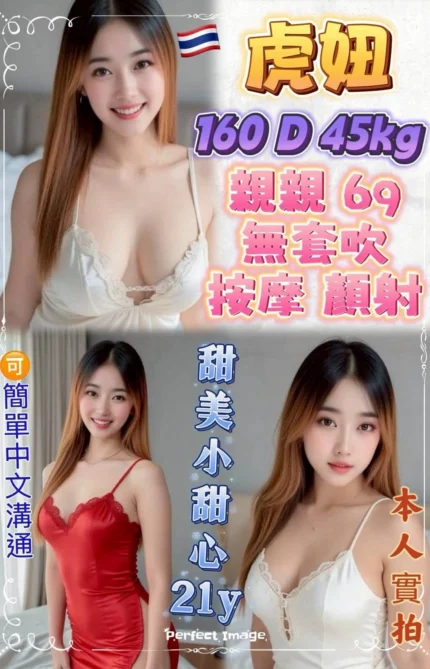 新北定點茶-虎妞/160/45/21/D
