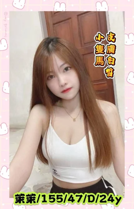 雲林定點茶-茉茉/155/47/24/D