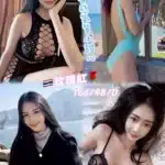 桃園定點茶-玫瑰紅/166/48/25/D