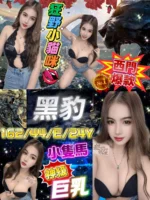 台北定點茶-黑豹/162/44/24/E