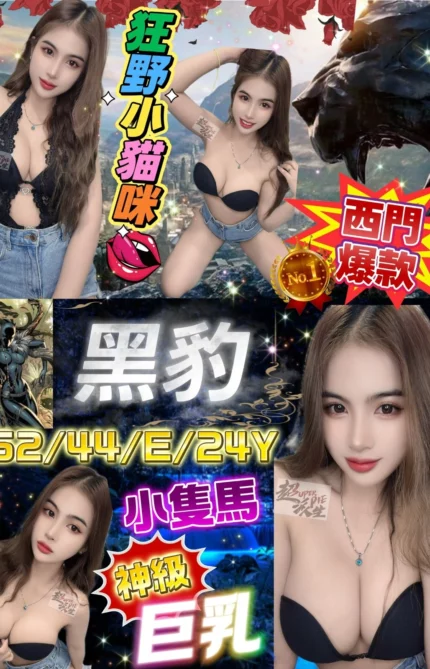 台北定點茶-黑豹/162/44/24/E