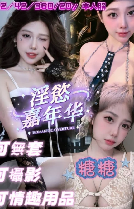 台南定點茶-糖糖/152/42/20/D