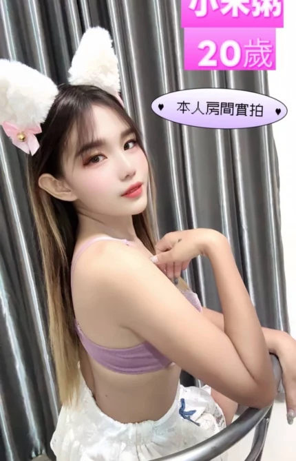 台南定點茶-小米粥/158/44/20/D