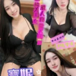 台中定點茶-寶妮/160/45/22/C