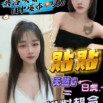 桃園定點茶-貼貼/158/40/23/C