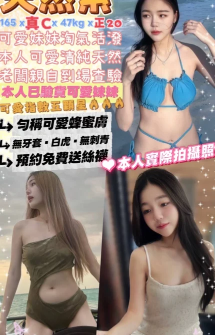 台北定點茶-天然系/165/47/20/C