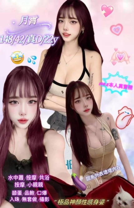 新北定點茶-月霄/148/42/22/D