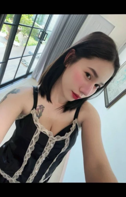 屏東定點茶,外送茶-香檳/156/49/?/D