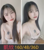 南投定點茶-凱欣/160/48/26/D