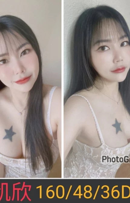 南投定點茶-凱欣/160/48/26/D