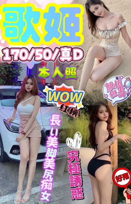 台中定點茶-歌姬/170/50/?/D