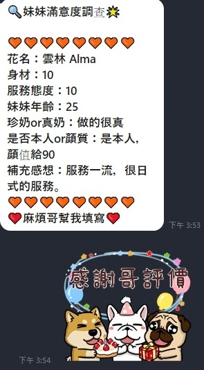 雲林定點茶-Alma/165/48/?/D