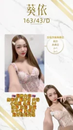 桃園定點茶-葵依/163/43/20/D