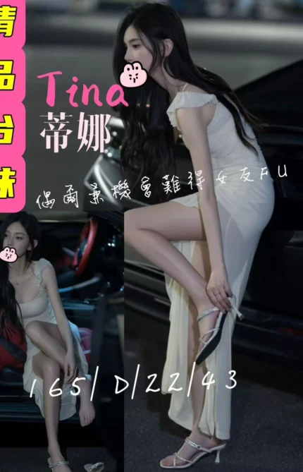 桃園外送茶-蒂娜/165/45/21/D