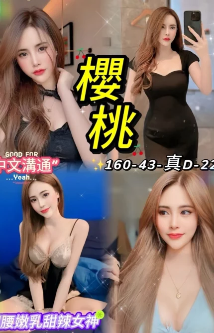 台北定點茶-櫻桃/160/43/22/D