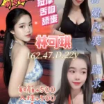 桃園定點茶-林可琪/162/47/22/D