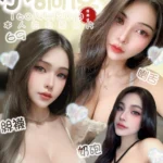 嘉義定點茶-小調皮/160/48/20/D