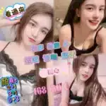 屏東定點茶-甜心/168/50/?/C