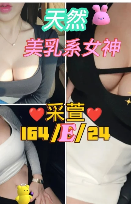 台北定點茶-采萱/164/47/24/E