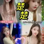 台北定點茶-楚楚/150/39/22/D