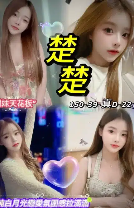 台北定點茶-楚楚/150/39/22/D