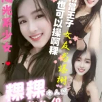 屏東定點茶-粿粿/160/44/?/B