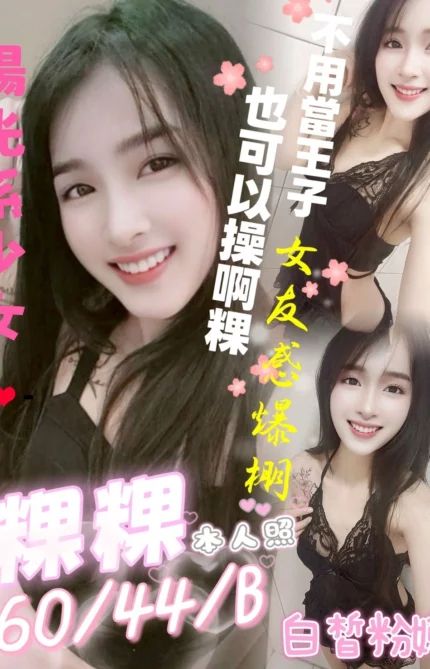 屏東定點茶-粿粿/160/44/?/B