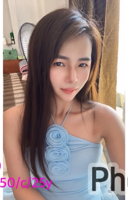 嘉義定點茶-T99/162/50/25/C