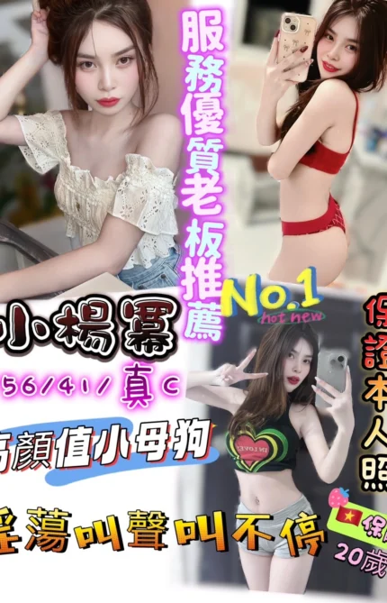 新竹定點茶-小楊冪/156/41/20/C