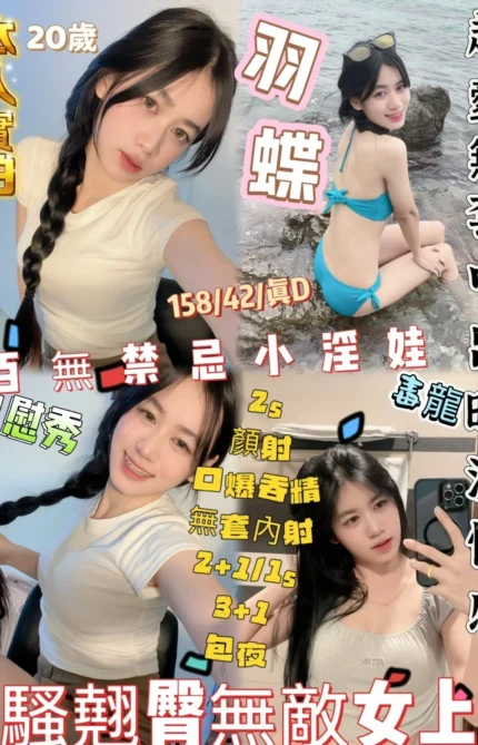 新竹定點茶-羽蝶/158/42/20/D