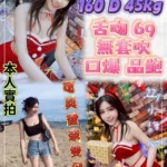 新北定點茶-愛馬仕/160/45/22/D