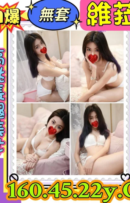 新北定點茶-維菈/160/45/22/C