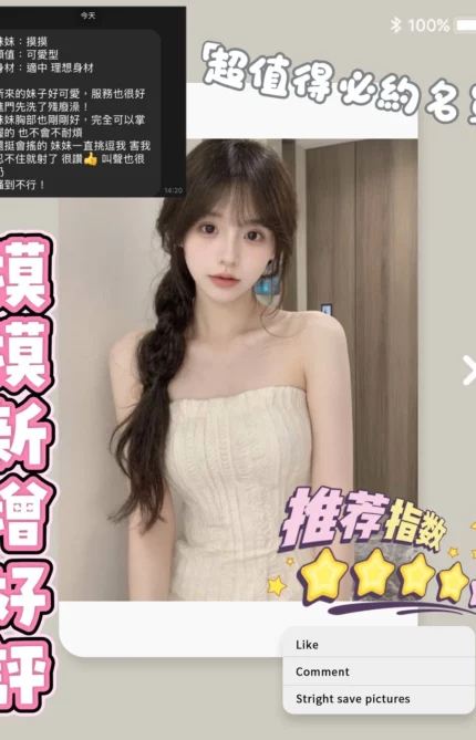 台南定點茶-摸摸/152/41/22/C