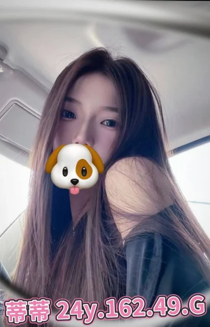 台北外送茶-蒂蒂/162/49/24/G