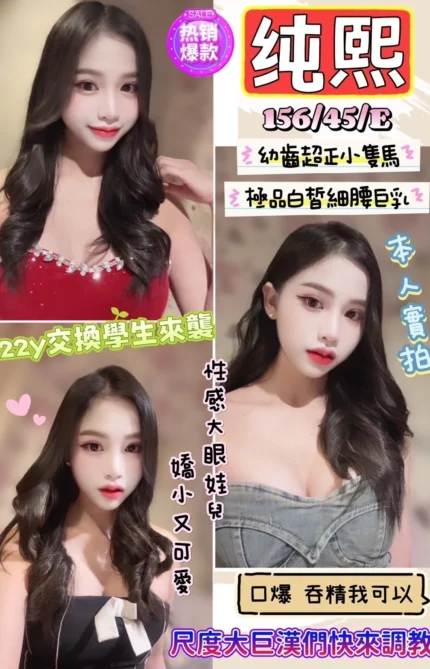 新竹定點茶-純熙/156/45/22/E