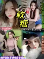 台北定點茶-軟糖/155/44/22/E