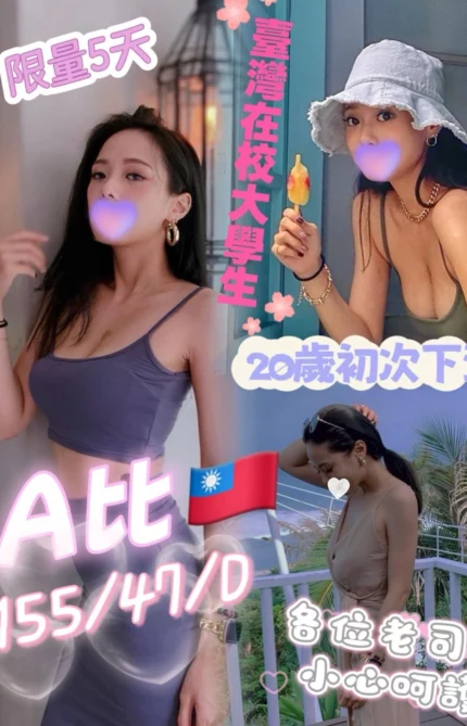 屏東定點茶-A比/155/47/20/D